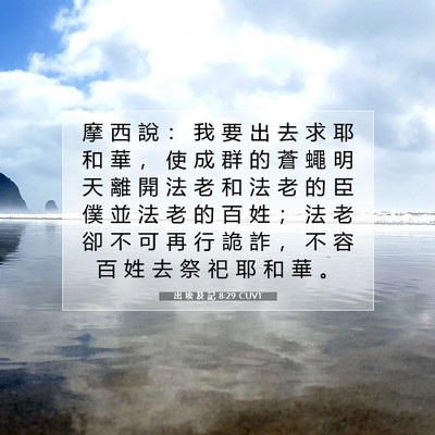 Picture 07 - 出 埃 及 記 8:29 CUVT - 摩 西 說 ： 我 要 出 去 求 耶 和 華 - Bible Verse Picture