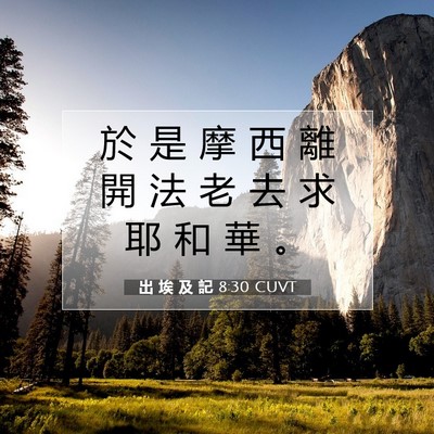 Picture 07 - 出 埃 及 記 8:30 CUVT - 於 是 摩 西 離 開 法 老 去 求 耶 和 - Bible Verse Picture
