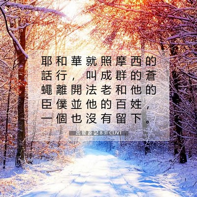 Picture 07 - 出 埃 及 記 8:31 CUVT - 耶 和 華 就 照 摩 西 的 話 行 ， 叫 - Bible Verse Picture