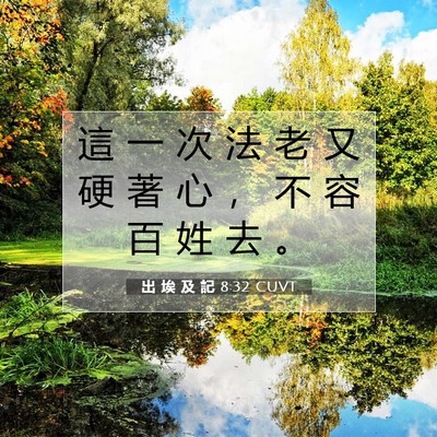 Picture 07 - 出 埃 及 記 8:32 CUVT - 這 一 次 法 老 又 硬 著 心 ， 不 容 - Bible Verse Picture