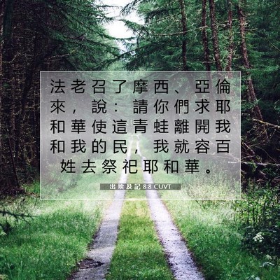 Picture 07 - 出 埃 及 記 8:8 CUVT - 法 老 召 了 摩 西 、 亞 倫 來 ， 說 - Bible Verse Picture