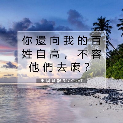 Picture 07 - 出 埃 及 記 9:17 CUVT - 你 還 向 我 的 百 姓 自 高 ， 不 容 - Bible Verse Picture