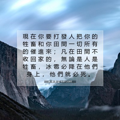 Picture 07 - 出 埃 及 記 9:19 CUVT - 現 在 你 要 打 發 人 把 你 的 牲 畜 - Bible Verse Picture