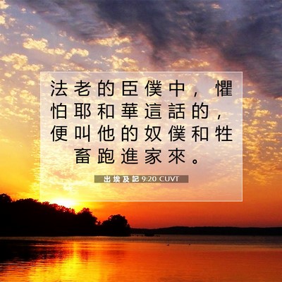Picture 07 - 出 埃 及 記 9:20 CUVT - 法 老 的 臣 僕 中 ， 懼 怕 耶 和 華 - Bible Verse Picture