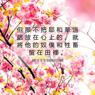 Picture 07 - 出 埃 及 記 9:21 CUVT - 但 那 不 把 耶 和 華 這 話 放 在 心 - Bible Verse Picture