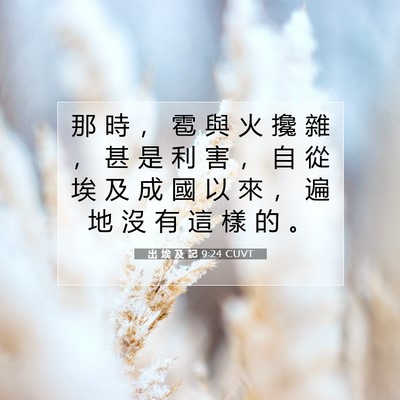 Picture 07 - 出 埃 及 記 9:24 CUVT - 那 時 ， 雹 與 火 攙 雜 ， 甚 是 利 - Bible Verse Picture
