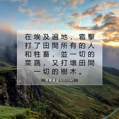 Picture 07 - 出 埃 及 記 9:25 CUVT - 在 埃 及 遍 地 ， 雹 擊 打 了 田 間 - Bible Verse Picture
