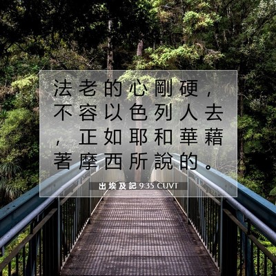 Picture 07 - 出 埃 及 記 9:35 CUVT - 法 老 的 心 剛 硬 ， 不 容 以 色 列 - Bible Verse Picture