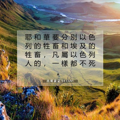 Picture 07 - 出 埃 及 記 9:4 CUVT - 耶 和 華 要 分 別 以 色 列 的 牲 畜 - Bible Verse Picture