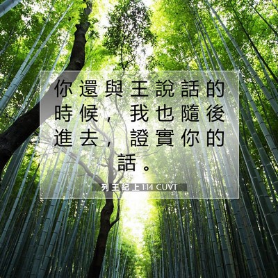 Picture 07 - 列 王 紀 上 1:14 CUVT - 你 還 與 王 說 話 的 時 候 ， 我 也 - Bible Verse Picture