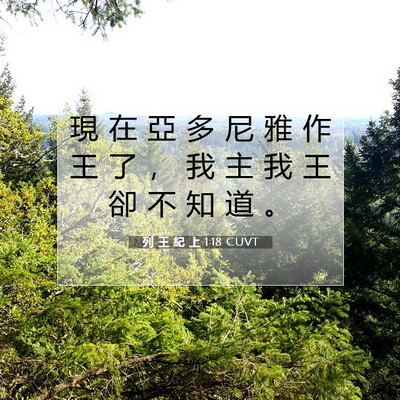 Picture 07 - 列 王 紀 上 1:18 CUVT - 現 在 亞 多 尼 雅 作 王 了 ， 我 主 - Bible Verse Picture