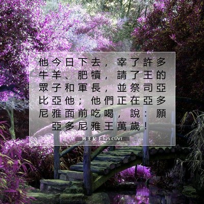 Picture 07 - 列 王 紀 上 1:25 CUVT - 他 今 日 下 去 ， 宰 了 許 多 牛 羊 - Bible Verse Picture