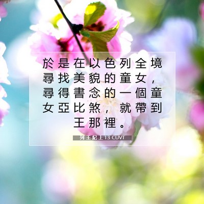Picture 07 - 列 王 紀 上 1:3 CUVT - 於 是 在 以 色 列 全 境 尋 找 美 貌 - Bible Verse Picture