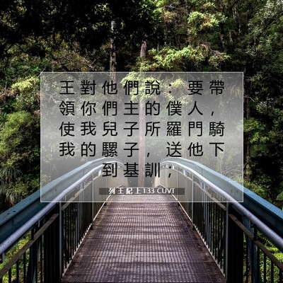 Picture 07 - 列 王 紀 上 1:33 CUVT - 王 對 他 們 說 ： 要 帶 領 你 們 主 - Bible Verse Picture