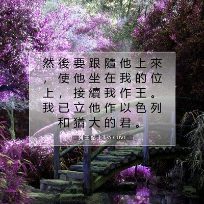 Picture 07 - 列 王 紀 上 1:35 CUVT - 然 後 要 跟 隨 他 上 來 ， 使 他 坐 - Bible Verse Picture