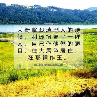 Picture 07 - 列 王 紀 上 11:24 CUVT - 大 衛 擊 殺 瑣 巴 人 的 時 候 ， 利 - Bible Verse Picture