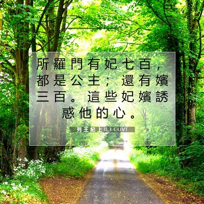 Picture 07 - 列 王 紀 上 11:3 CUVT - 所 羅 門 有 妃 七 百 ， 都 是 公 主 - Bible Verse Picture
