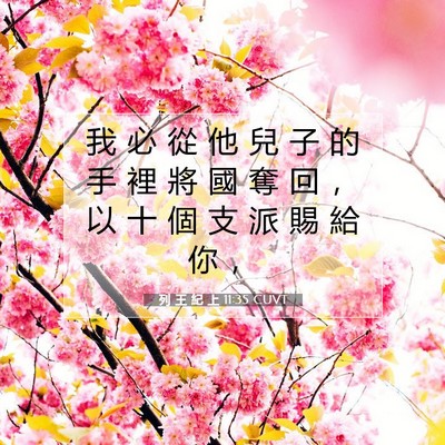 Picture 07 - 列 王 紀 上 11:35 CUVT - 我 必 從 他 兒 子 的 手 裡 將 國 奪 - Bible Verse Picture