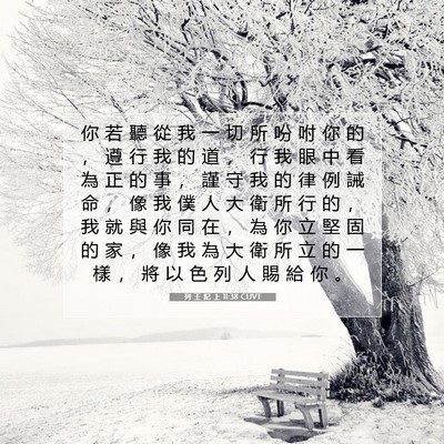 Picture 07 - 列 王 紀 上 11:38 CUVT - 你 若 聽 從 我 一 切 所 吩 咐 你 的 - Bible Verse Picture