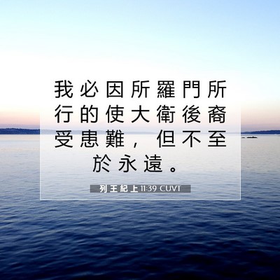 Picture 07 - 列 王 紀 上 11:39 CUVT - 我 必 因 所 羅 門 所 行 的 使 大 衛 - Bible Verse Picture