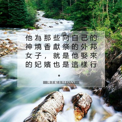 Picture 07 - 列 王 紀 上 11:8 CUVT - 他 為 那 些 向 自 己 的 神 燒 香 獻 - Bible Verse Picture