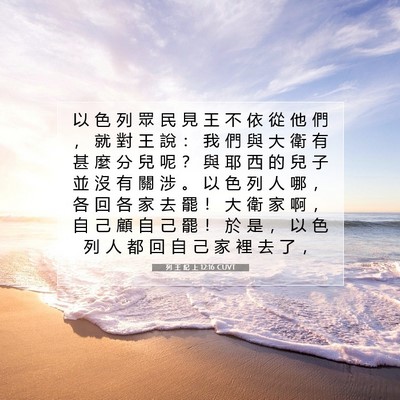 Picture 07 - 列 王 紀 上 12:16 CUVT - 以 色 列 眾 民 見 王 不 依 從 他 們 - Bible Verse Picture
