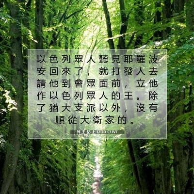 Picture 07 - 列 王 紀 上 12:20 CUVT - 以 色 列 眾 人 聽 見 耶 羅 波 安 回 - Bible Verse Picture