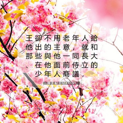 Picture 07 - 列 王 紀 上 12:8 CUVT - 王 卻 不 用 老 年 人 給 他 出 的 主 - Bible Verse Picture