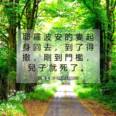 Picture 07 - 列 王 紀 上 14:17 CUVT - 耶 羅 波 安 的 妻 起 身 回 去 ， 到 - Bible Verse Picture