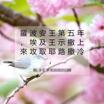 Picture 07 - 列 王 紀 上 14:25 CUVT - 羅 波 安 王 第 五 年 ， 埃 及 王 示 - Bible Verse Picture