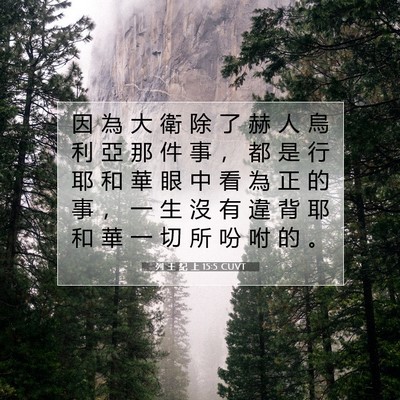 Picture 07 - 列 王 紀 上 15:5 CUVT - 因 為 大 衛 除 了 赫 人 烏 利 亞 那 - Bible Verse Picture