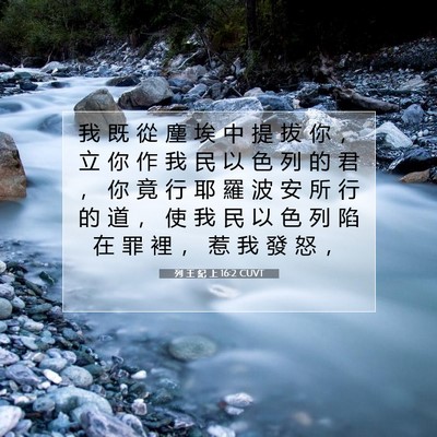 Picture 07 - 列 王 紀 上 16:2 CUVT - 我 既 從 塵 埃 中 提 拔 你 ， 立 你 - Bible Verse Picture