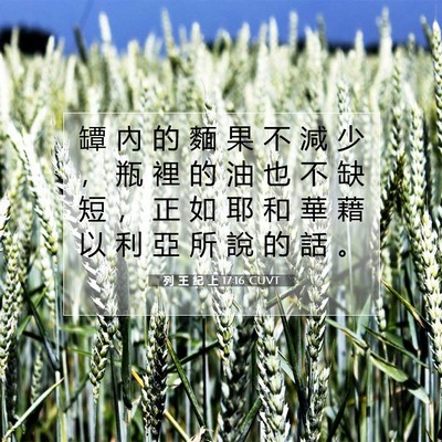 Picture 07 - 列 王 紀 上 17:16 CUVT - 罈 內 的 麵 果 不 減 少 ， 瓶 裡 的 - Bible Verse Picture