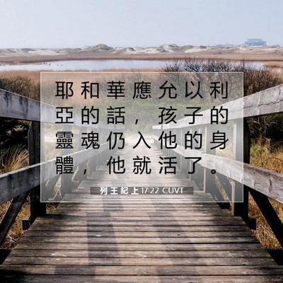 Picture 07 - 列 王 紀 上 17:22 CUVT - 耶 和 華 應 允 以 利 亞 的 話 ， 孩 - Bible Verse Picture