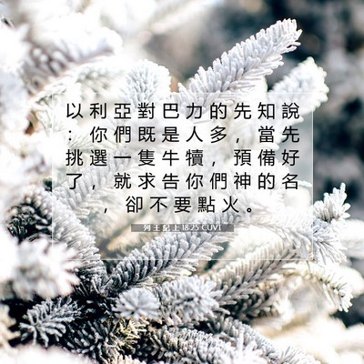Picture 07 - 列 王 紀 上 18:25 CUVT - 以 利 亞 對 巴 力 的 先 知 說 ： 你 - Bible Verse Picture