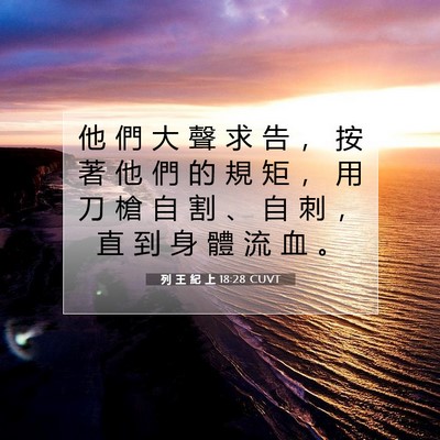 Picture 07 - 列 王 紀 上 18:28 CUVT - 他 們 大 聲 求 告 ， 按 著 他 們 的 - Bible Verse Picture