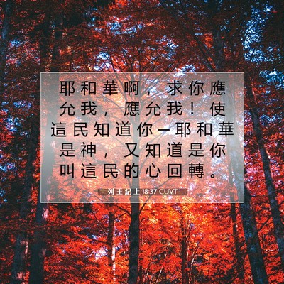 Picture 07 - 列 王 紀 上 18:37 CUVT - 耶 和 華 啊 ， 求 你 應 允 我 ， 應 - Bible Verse Picture
