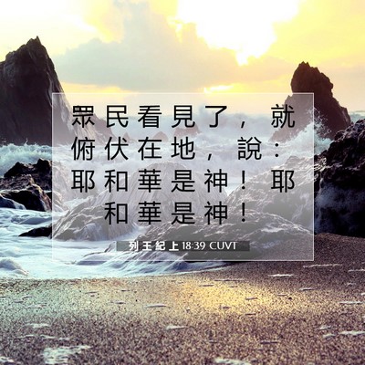 Picture 07 - 列 王 紀 上 18:39 CUVT - 眾 民 看 見 了 ， 就 俯 伏 在 地 ， - Bible Verse Picture