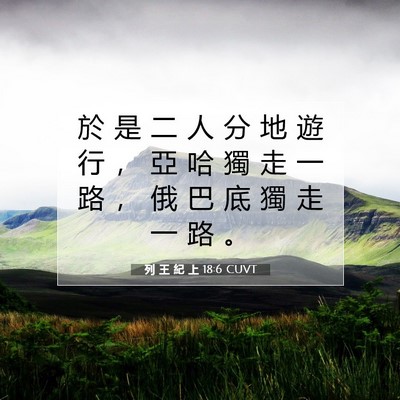 Picture 07 - 列 王 紀 上 18:6 CUVT - 於 是 二 人 分 地 遊 行 ， 亞 哈 獨 - Bible Verse Picture