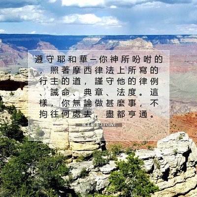 Picture 07 - 列 王 紀 上 2:3 CUVT - 遵 守 耶 和 華 ─ 你 神 所 吩 咐 的 - Bible Verse Picture
