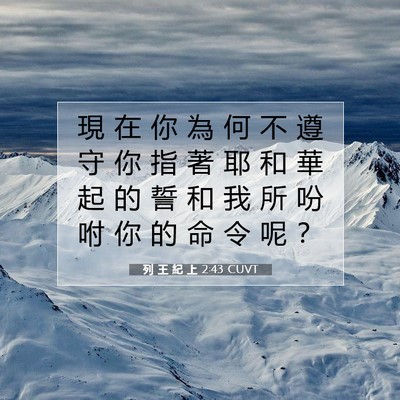 Picture 07 - 列 王 紀 上 2:43 CUVT - 現 在 你 為 何 不 遵 守 你 指 著 耶 - Bible Verse Picture