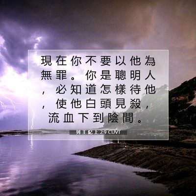 Picture 07 - 列 王 紀 上 2:9 CUVT - 現 在 你 不 要 以 他 為 無 罪 。 你 - Bible Verse Picture