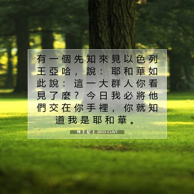Picture 07 - 列 王 紀 上 20:13 CUVT - 有 一 個 先 知 來 見 以 色 列 王 亞 - Bible Verse Picture