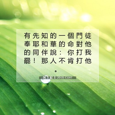 Picture 07 - 列 王 紀 上 20:35 CUVT - 有 先 知 的 一 個 門 徒 奉 耶 和 華 - Bible Verse Picture