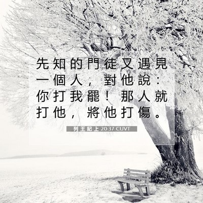 Picture 07 - 列 王 紀 上 20:37 CUVT - 先 知 的 門 徒 又 遇 見 一 個 人 ， - Bible Verse Picture