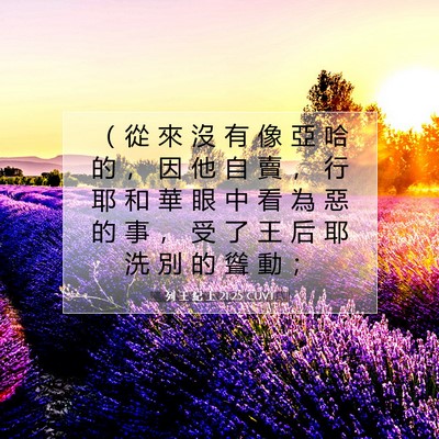 Picture 07 - 列 王 紀 上 21:25 CUVT - （ 從 來 沒 有 像 亞 哈 的 ， 因 他 - Bible Verse Picture