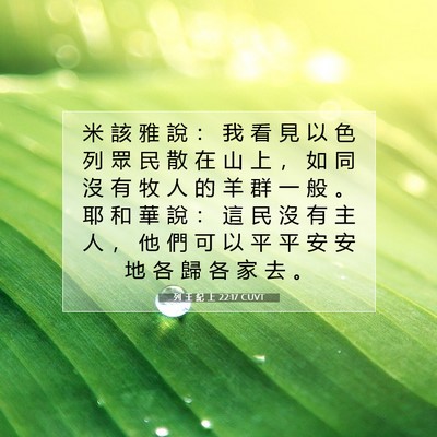 Picture 07 - 列 王 紀 上 22:17 CUVT - 米 該 雅 說 ： 我 看 見 以 色 列 眾 - Bible Verse Picture