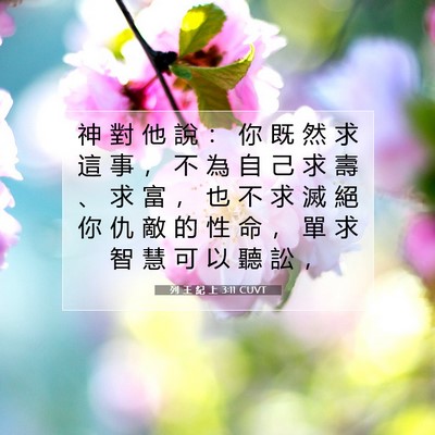 Picture 07 - 列 王 紀 上 3:11 CUVT - 神 對 他 說 ： 你 既 然 求 這 事 ， - Bible Verse Picture