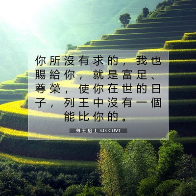 Picture 07 - 列 王 紀 上 3:13 CUVT - 你 所 沒 有 求 的 ， 我 也 賜 給 你 - Bible Verse Picture