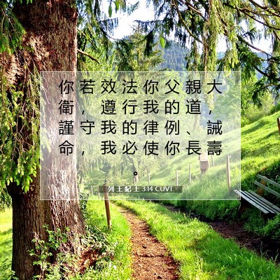 Picture 07 - 列 王 紀 上 3:14 CUVT - 你 若 效 法 你 父 親 大 衛 ， 遵 行 - Bible Verse Picture